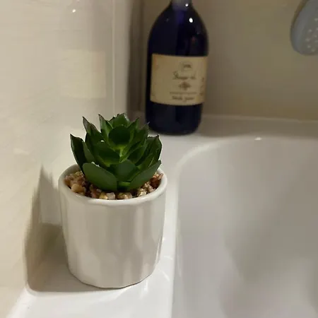 Rai Apartamento